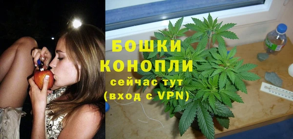 СК Аркадак
