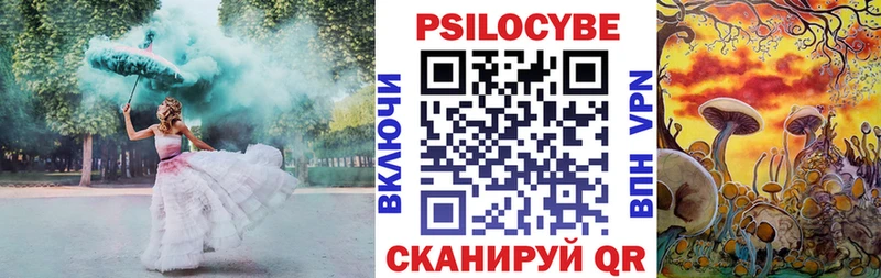 Галлюциногенные грибы Psilocybe  Валдай 
