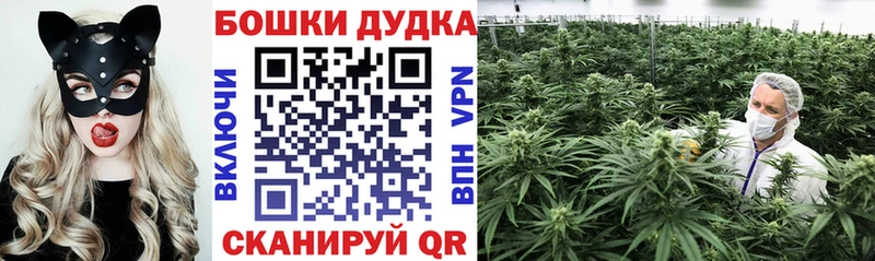 Канабис планчик  купить наркотик  Валдай 